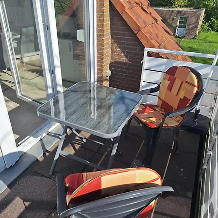 Robbe * Norddeich (Norden)